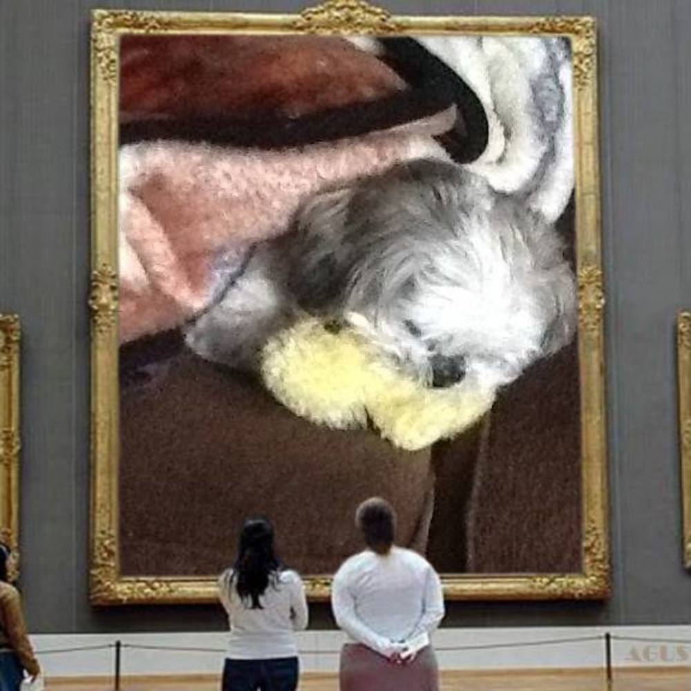 Meet your Posher, Dorothy